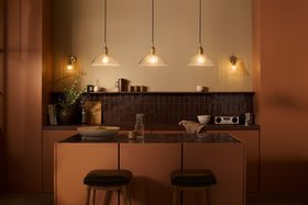 Industville, Noho Glass Ribbed Dome Pendant Light   12 Inch   Clear   Brass Holder, Noho Glass Funnel Swan Neck Wall Light   7 Inch   Clear   Brass Holder