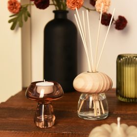 Mushroom Reed Diffuser 100ml