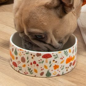 Pumpkin Patch Pet Bowl