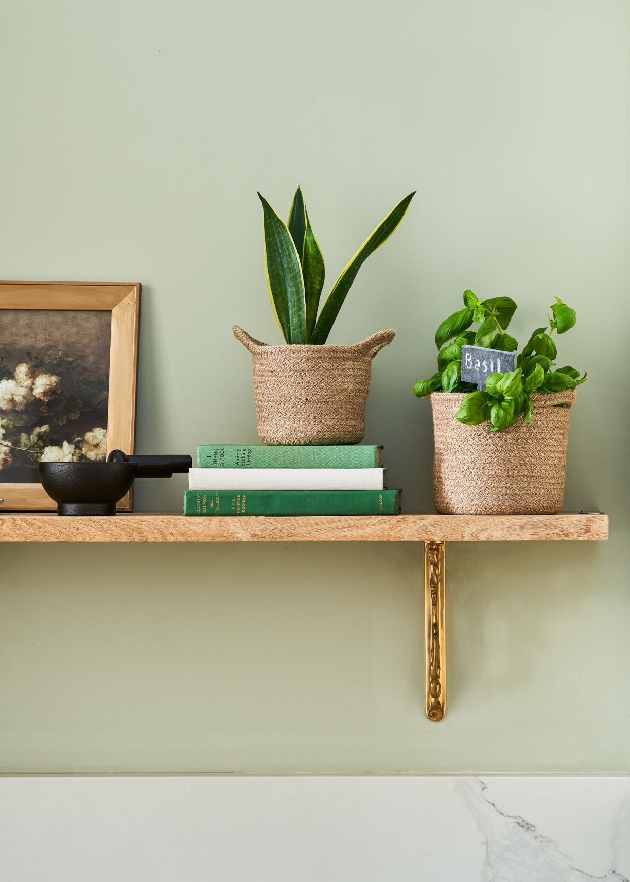 Spring Summer Kitchen Shelving with Herbs and Plants