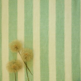 Lola Stripe Winter Green