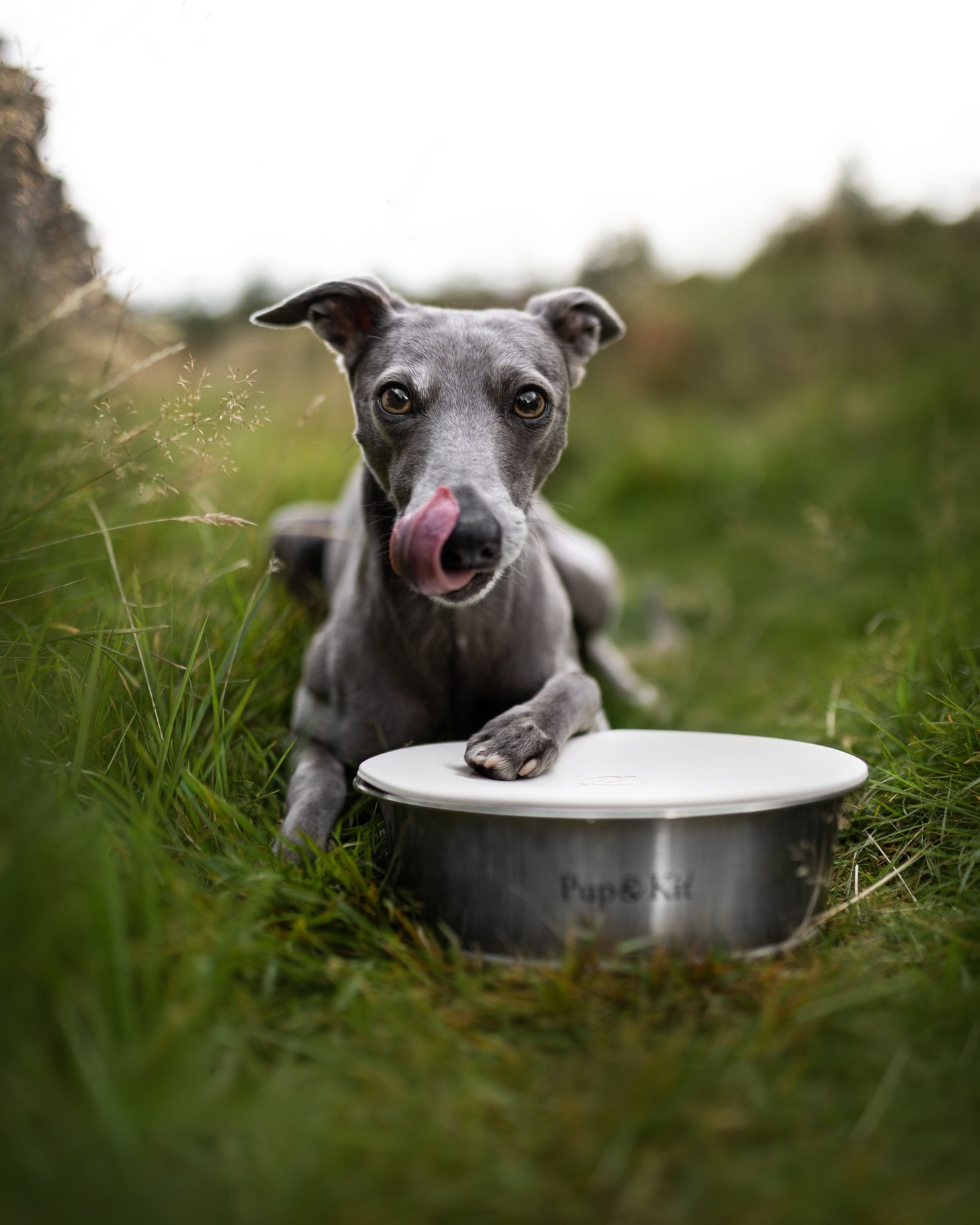 Lid-it Bowl with Stay-Fresh Lid - Beige