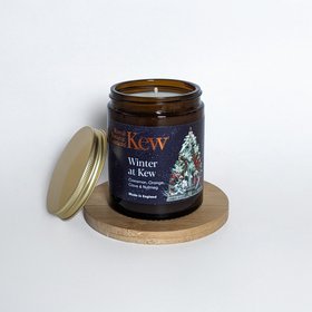 Kew x Aery Winter at Kew Jar Candle