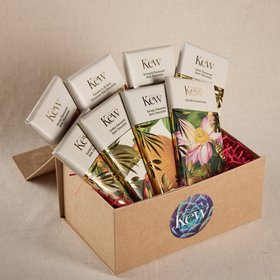 Kew Chocolate Library Gift Box