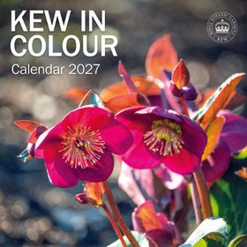 Kew in Colour Wall Calendar 2027