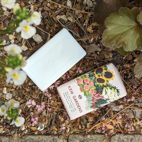 Kew TFL 'Sunflowers' Soap, Blossom