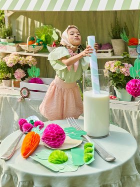 Giant Vegetable Decorations (x 10)