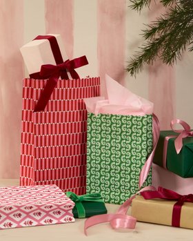 Meri Meri x Molly Mahon Paper Gift Bags (x 10)