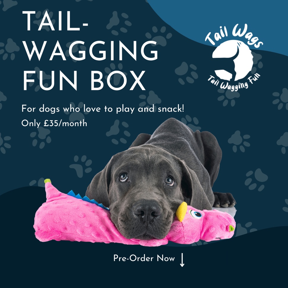 Tail-Wagging fun Box