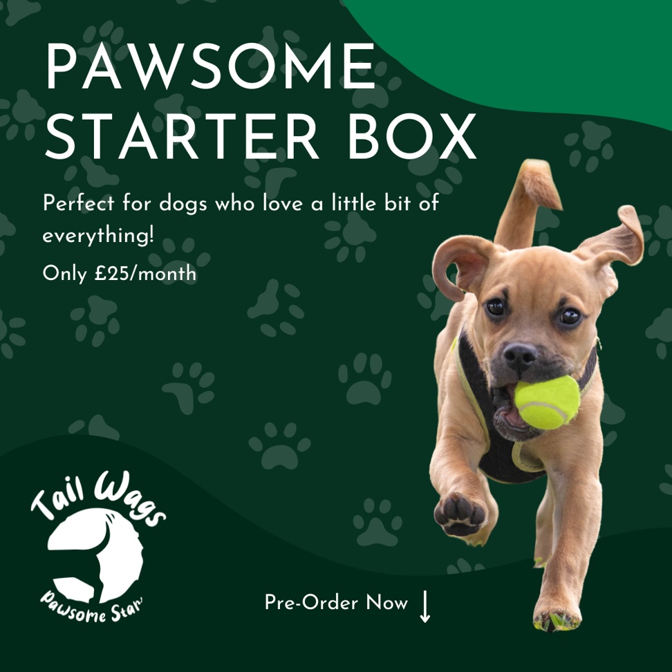 Pawsome Starter Box