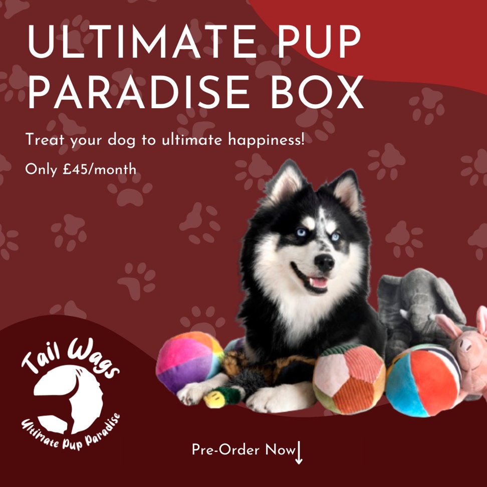 Ultimate Pup Paradise Box