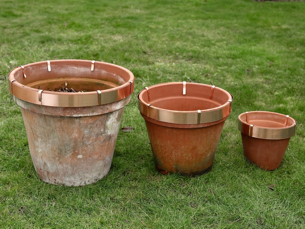 Copper Pot Ring to deter slugs