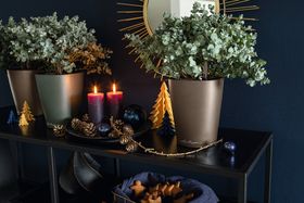Christmas decor with houseplants