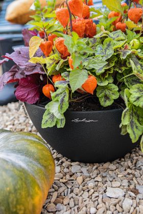 Autumn and Halloween Style with LECHUA CUBETO 30 self-watering planter in Sandbeige