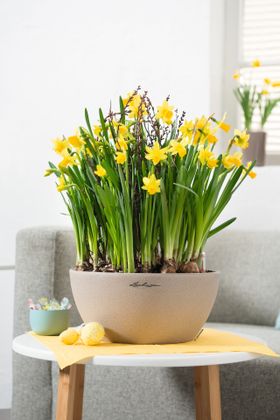 Fathers Day Gift: Self-Watering CUBETO planter from Lechuza