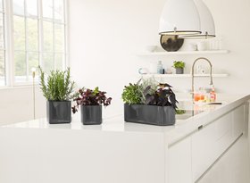 Gifts for Mother's Day: LECHUZA CUBE GLOSSY Self-watering planters