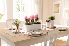 Gifts for Mother's Day: LECHUZA CUBE GLOSSY Self-watering planters