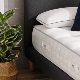 OTTY Natural Origin - Rejuvenated