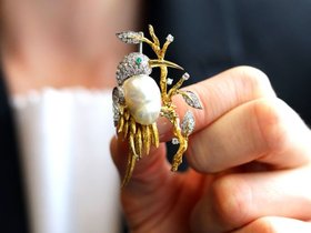 Blister Pearl Bird Brooch in Gold