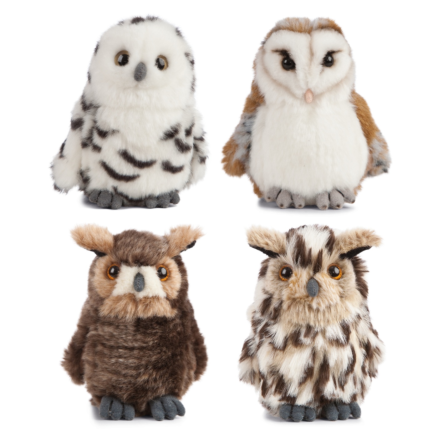 Soft toy Owl Collection
