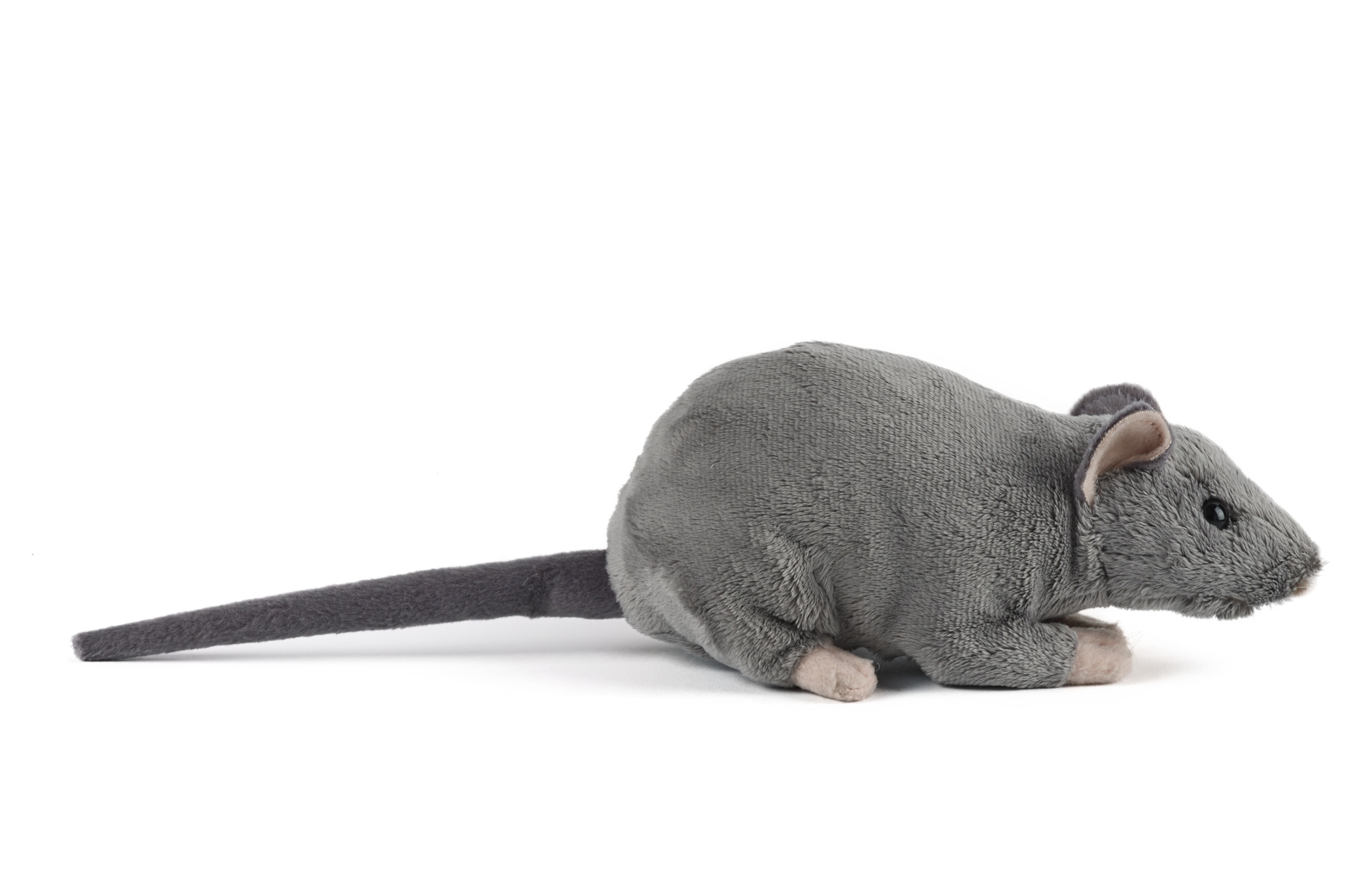 Rat with Squeak Plush Stuffed Animal Toy