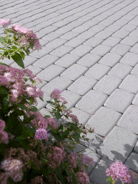 Grey Patio Paving Stain outside house with flowers