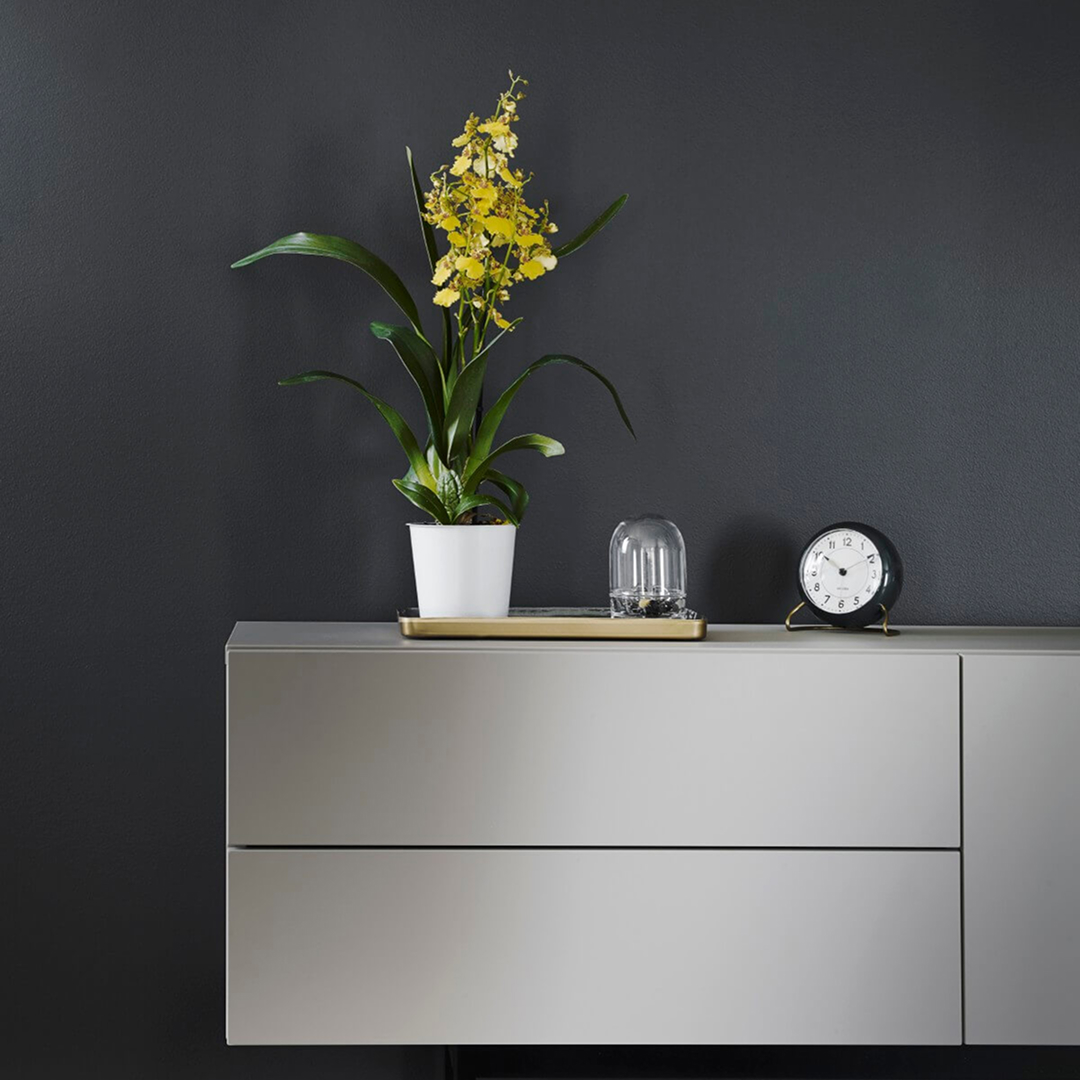 Licorice X499 Lifestyle