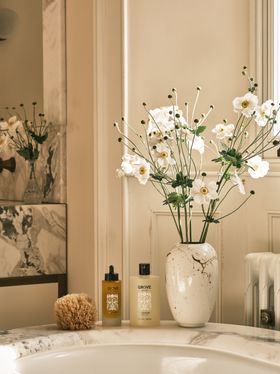 Body Wash Anemone | 500 mL