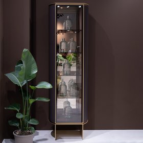 Contemporary Lacquered Narrow Display Cabinet
