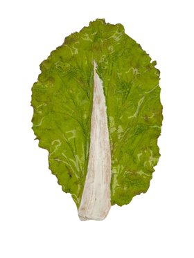 Studio Bongard Large Ceramic Lettuce Sculpture