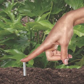 Devonia Fertiliser Sticks