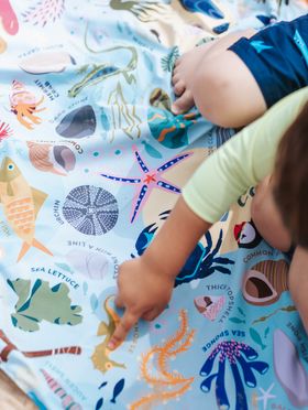 Beachcomber Family PACMAT® picnic blanket