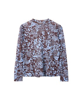 Brown & Blue Floral Mesh Long Sleeve Top