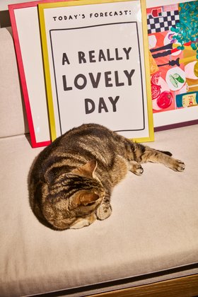 A Really Lovely Day Wall Art Print