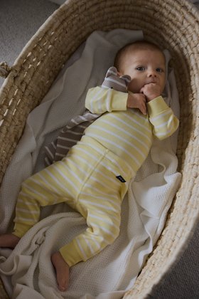 SS26 PO.P Stripe Baby Bodysuit - Yellow