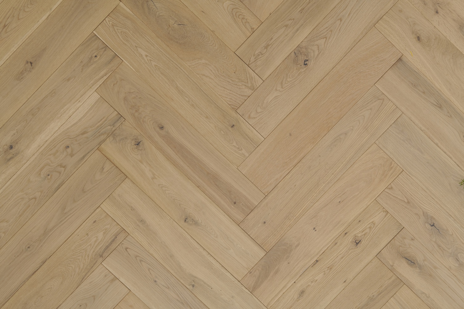 Lusso Rome Xtra Invisible Oiled Engineered Oak
