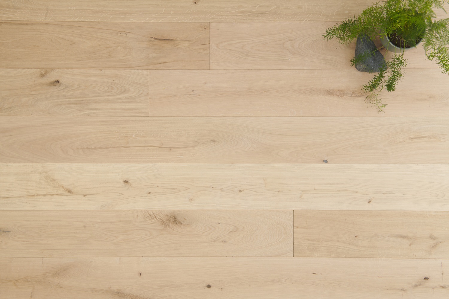 Lusso Catania Luxe Raw Engineered Oak