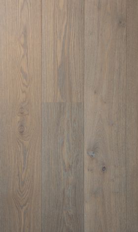 Bedgebury Oak Sample