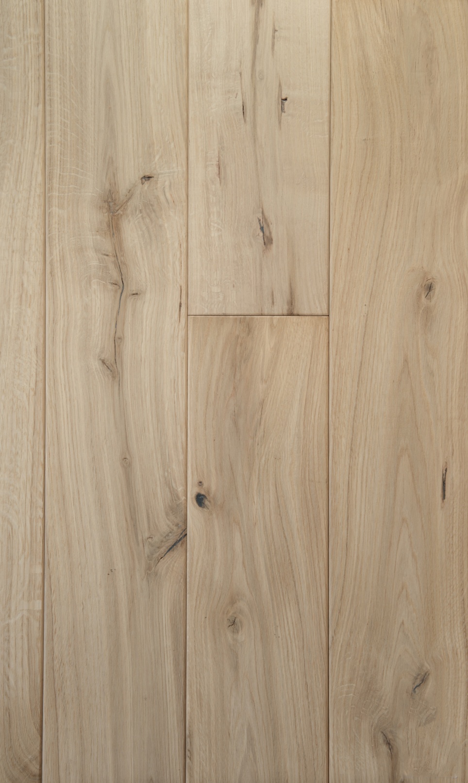 Catmore Oak Sample