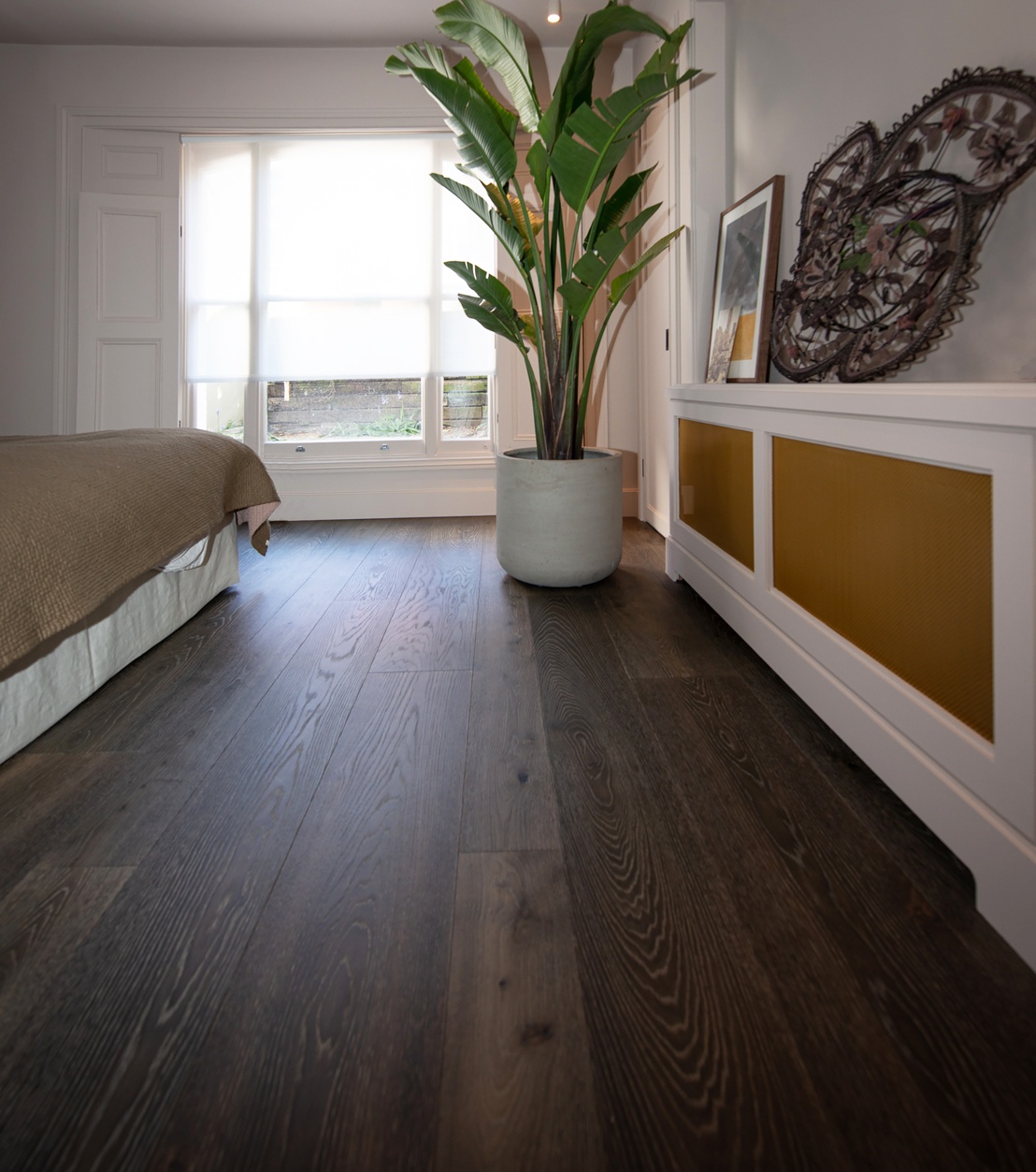 Cuba Oak 03