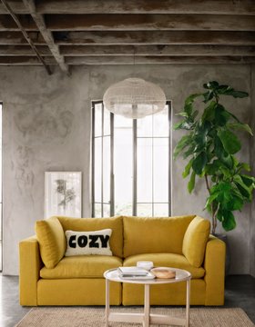 Schplendid, Wee Bonnie In Moutard, £2,410