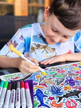 Underwater Reusable Silicone Colouring Mat