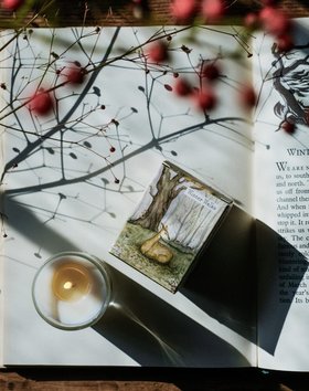 Winter Walks 9cl Wildlife Range Illustrated Candle by Heaven Scent