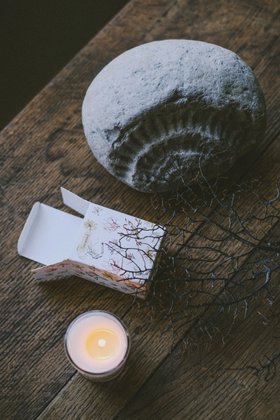 Seaweed 9cl Illustrated Candle by Heaven Scent