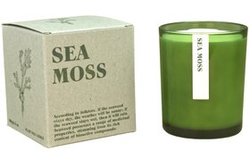 Sea Moss Green Botanical 20cl Candle