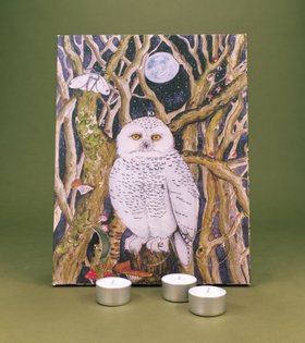 12-Day Christmas Advent Calendar - The Snowy Owl