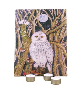 12-Day Christmas Advent Calendar - The Snowy Owl