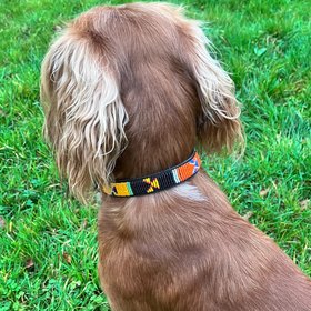 Maasai Beaded Dog Collars