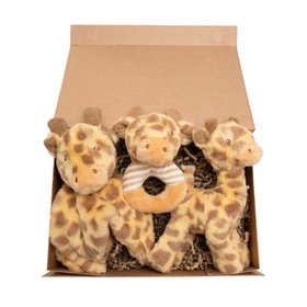 Baby Gift Box