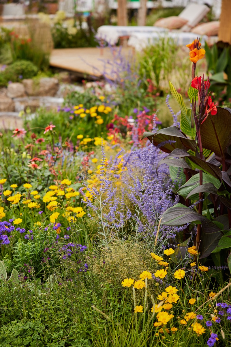 RHS Sandringham 2026 07